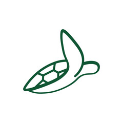 Turtle logo design. Animal icon illustration