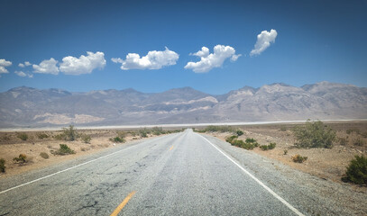 Joshua Tree National Park Road