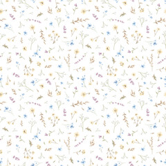 Seamless floral pattern with meadow dried flowers isolated on white background. Watercolor hand drawn illustration sketch