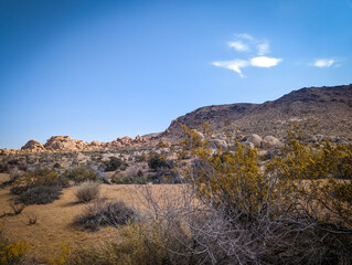 Joshua Tree National Park