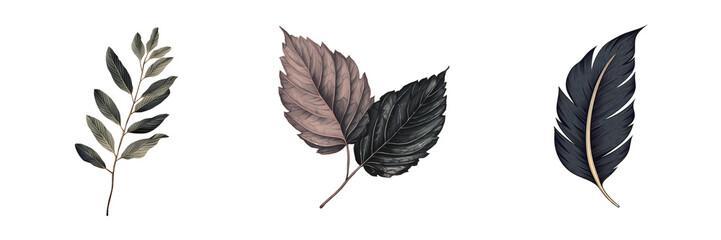 Isolated black leaf illustration with decorative elements transparent background