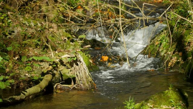 Tessiner Malcantone im Herbst 9 709