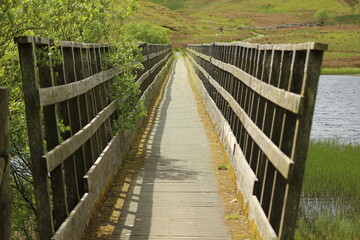 wooden bridge in the forest