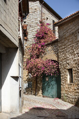 Fototapeta na wymiar Pink flowers climber on old stone house in Sardinia village