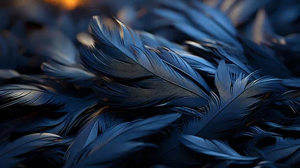 Foto op Plexiglas solid background of black and blue raven feathers macro details © Yuliia