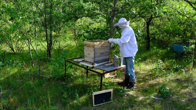 Person wearing protective gear checking or inspecting bee hive before removing honey holders from it.