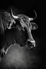Gordijnen bull cow ox silhouette contour black white backlit motion contour tattoo professional photography © Wiktoria