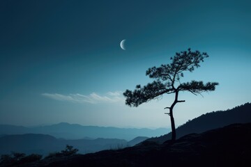 moon and tree silhouette