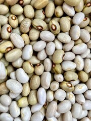 white bean texture closeup, natural background
