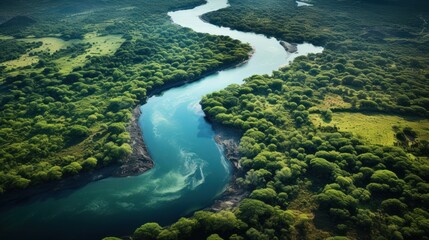 Aerial photograph capturing the winding course of the mighty Zambezi River as it flows through the pristine wilderness of Zambia, framed by lush greenery and dramatic cliffs. Generative Ai