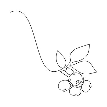 recommend clip art: Line continuous blueberry branch with leaves. Vector icon. Hand drawn outline illustration. Linear berries silhouette. Garden plant. Minimal design, print, banner, card, brochure, logo, menu, sign.