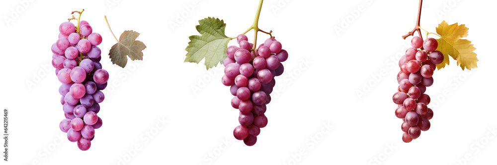 Poster grapes on a transparent background with depth of field and room for text