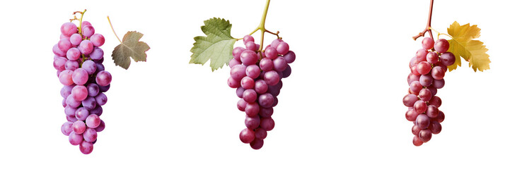 Fototapeta premium Grapes on a transparent background with depth of field and room for text