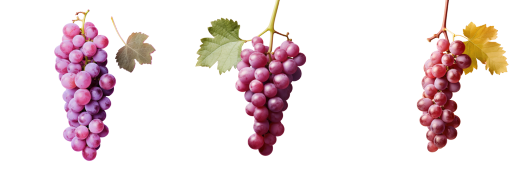 Grapes on a transparent background with depth of field and room for text