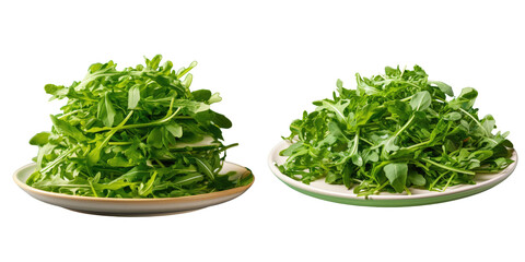 Fresh arugula salad on a white plate close up transparent background