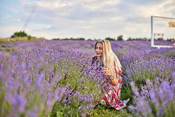 Young beautiful woman sits on a vintage swing in a lavender field.