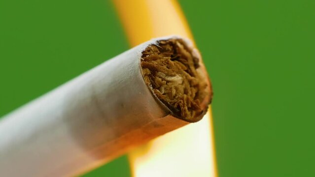 Close-up of tobacco in a cigarette set on fire with a lighter. Cigarette on a green chroma key background, smokes a cigar. cigarette butt