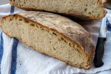 Freshly baked sourdough traditional italian bread on olive wood fired oven