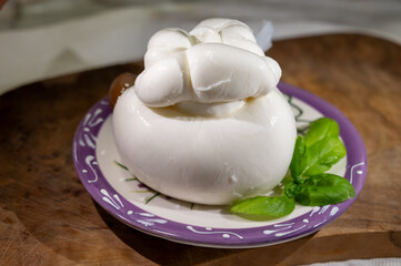 Cheese collection, fresh soft handmade Italian cheese from Puglia, white ball of burrata or burratina cheese made from mozzarella and cream filling