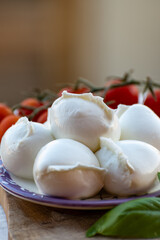 White balls of Italian soft cheese Mozzarella di Bufala Campana served with fresh green basil and red sicilian tomatoes