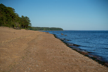 The sandy shore of the Gulf of Finland near the village of Ushkovo. Rest on the shore of the bay.Walking along the water