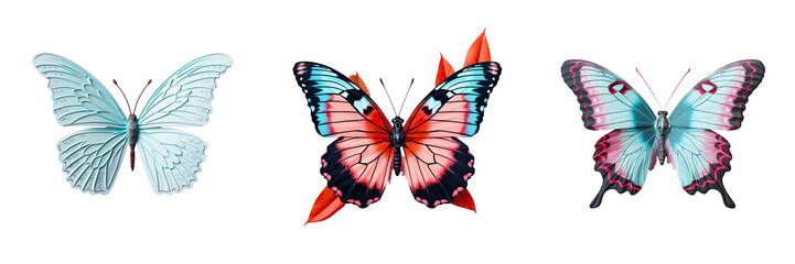 Butterfly on a transparent background