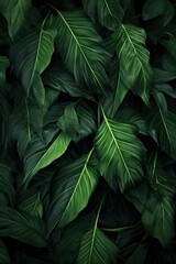 Jungle Canopy Dreamscape Tropical Leaves Backdrop Inspiration Leafy Luxury Tropical Leaves Background for Elegant Decor