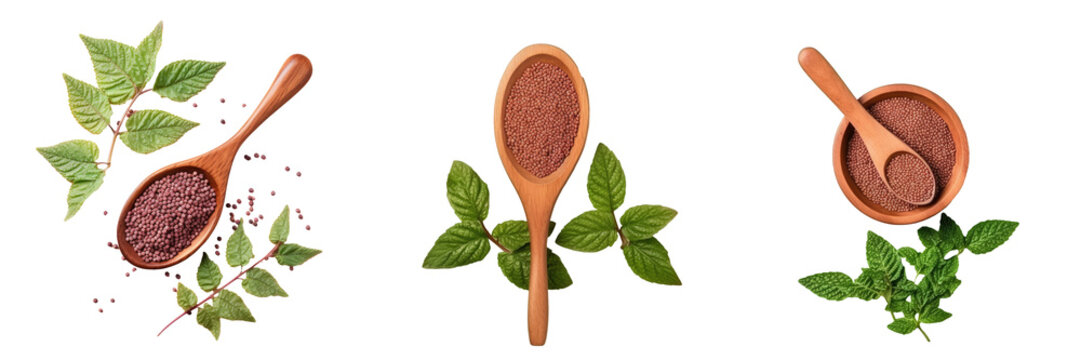 Top view of a transparent background with a wooden scoop containing green leaves and red quinoa seeds