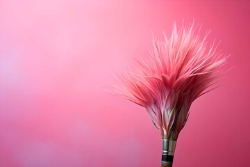 Single-Color Elegance: Makeup Brush in Pink