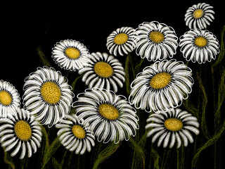 Marguerite 1