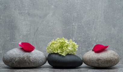 Fototapeta na wymiar stones and flowers for the podium.zen stones and flowers for the presentation of the product, background, podium.