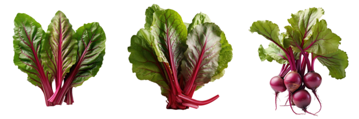Beet leaves separated on transparent background