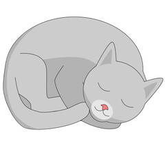 cat sleeping