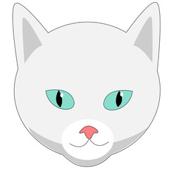 white cat