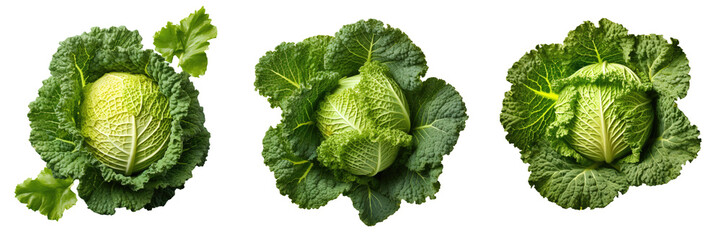 Top view of isolated super food Savoy cabbage transparent background