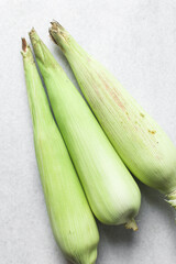 unpeeled cob of corn on a marble table, whole corn in green husk on a countertop, fresh organic sweet corn on table