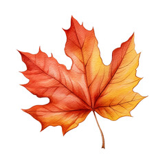 Naklejka na ściany i meble Fall maple leaf isolated on white background. Watercolor illustration created with Generative Ai technology