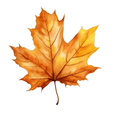 Autumn maple leaf isolated on white background. Watercolor illustration created with Generative Ai technology