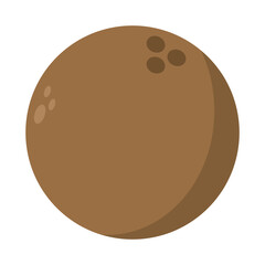 brown ripe coconut fruit ready to drink vector illustration