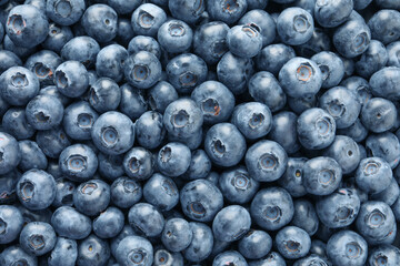 Tasty fresh blueberries as background, top view