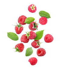 Many fresh ripe raspberries and green leaves falling on white background