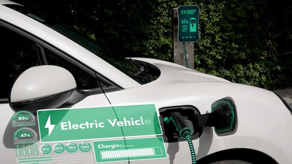 Electric car plug into EV charger cable from charging station display smart digital battery status hologram in eco green park and foliage background. Energy sustainability technological advance.Peruse