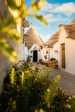 Characteristic Alberobello trullo through green plant