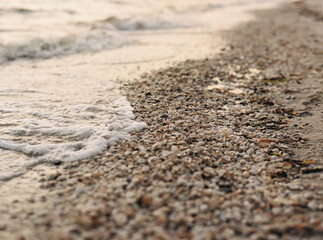 Seashells on the beach during sunset 