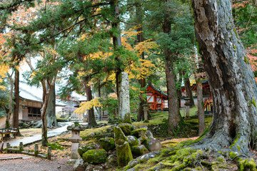Nara park and traditional shrine at autumn in Nara, Japan