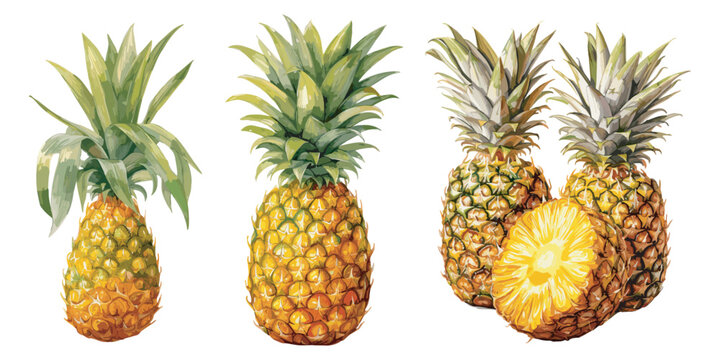 watercolor pineapple clipart for graphic resources