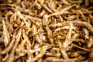 Fried Anchovies in the Market