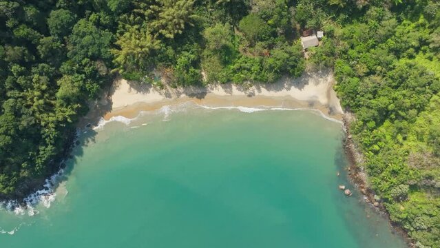 A drone reveals a paradisiacal beach on the Brazilian coast, with lush green trees, a marvelous sea, magical colors, and sparkling blue waters. Yellow sand. Paradise, Brazil, in 4k.