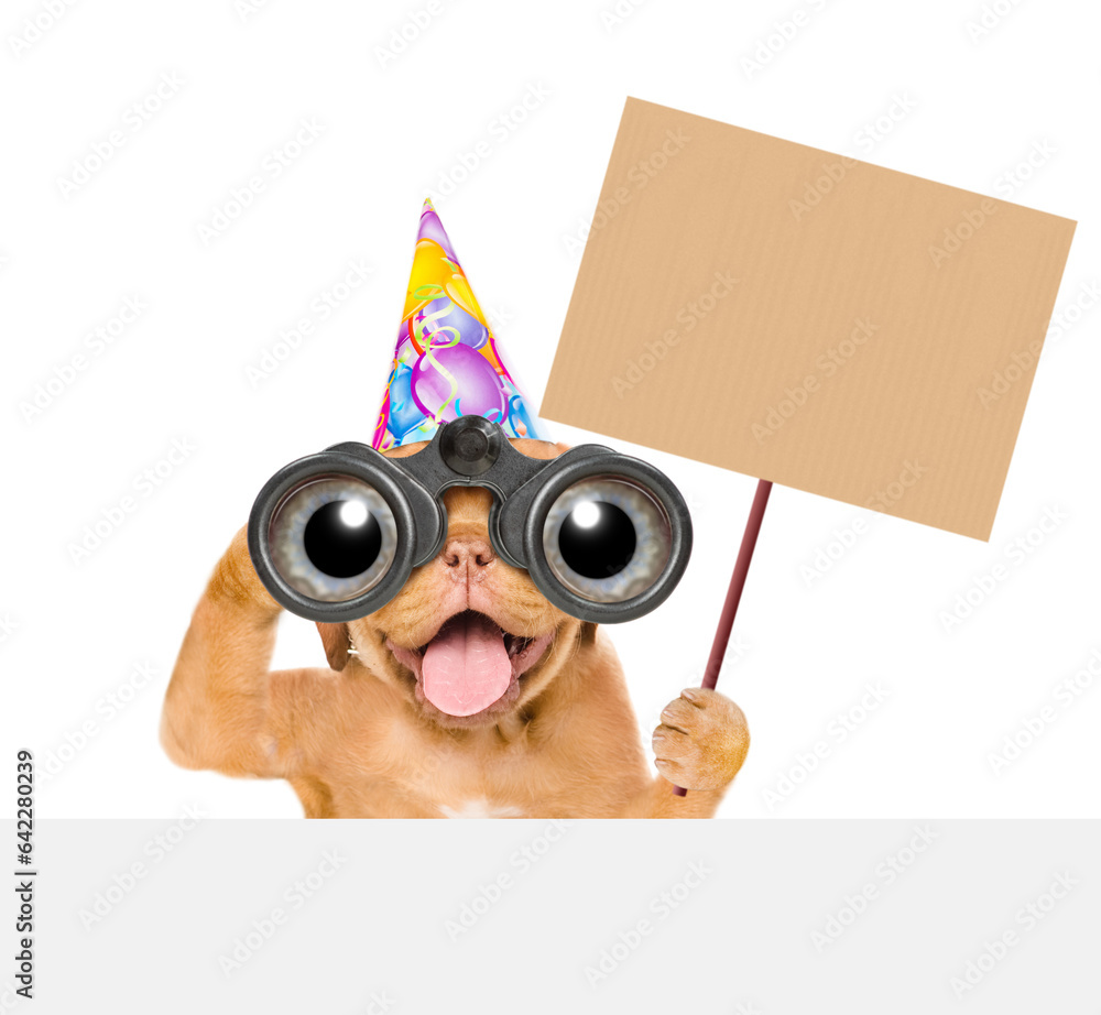 Poster happy mastiff puppy wearing party cap looks through binoculars above empty white banner and looks em