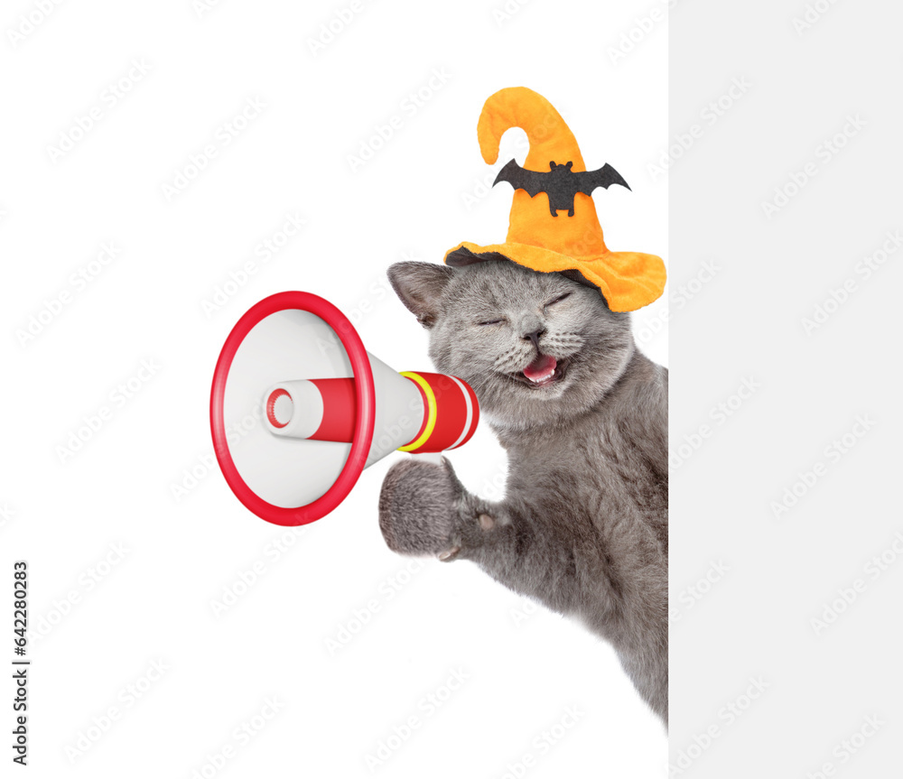 Poster happy cat wearing hat for halloween talks into megaphone and looks from behind empty white banner. i